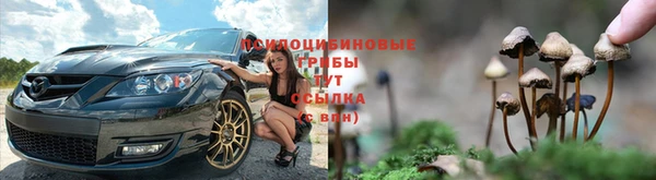 мяу мяу кристалл Верея