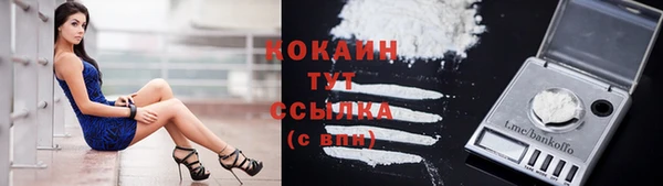 мяу мяу кристалл Верея