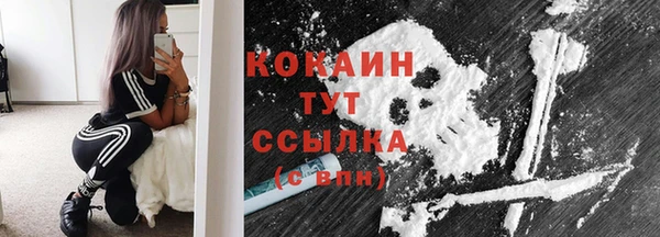 мяу мяу кристалл Верея
